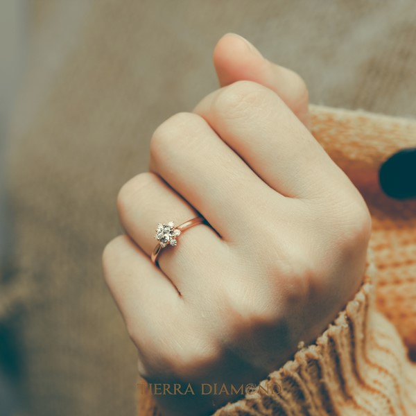 Small Halo Snowflake Engagement Ring with Shiny Band NCH2001 6